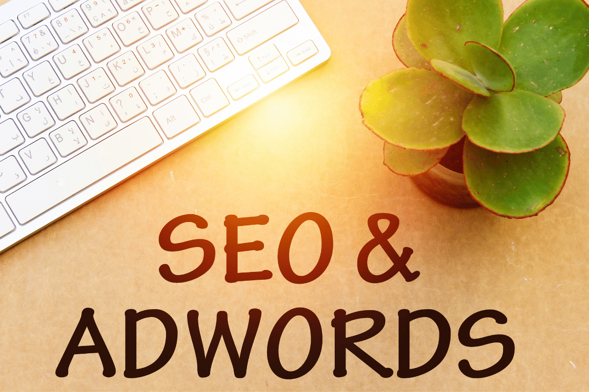 seo y adwords